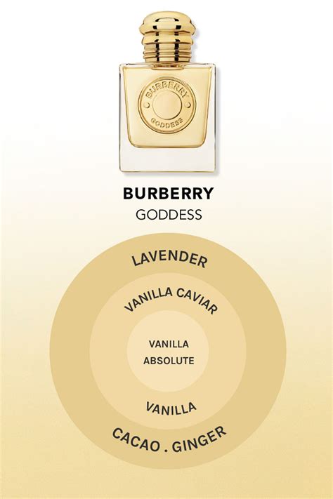 burberry goddess dupes|what does burberry smell like.